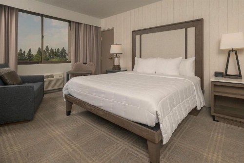 Knott's Berry Farm Hotel image 28